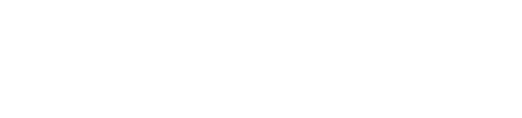 logoipsum-317.png
